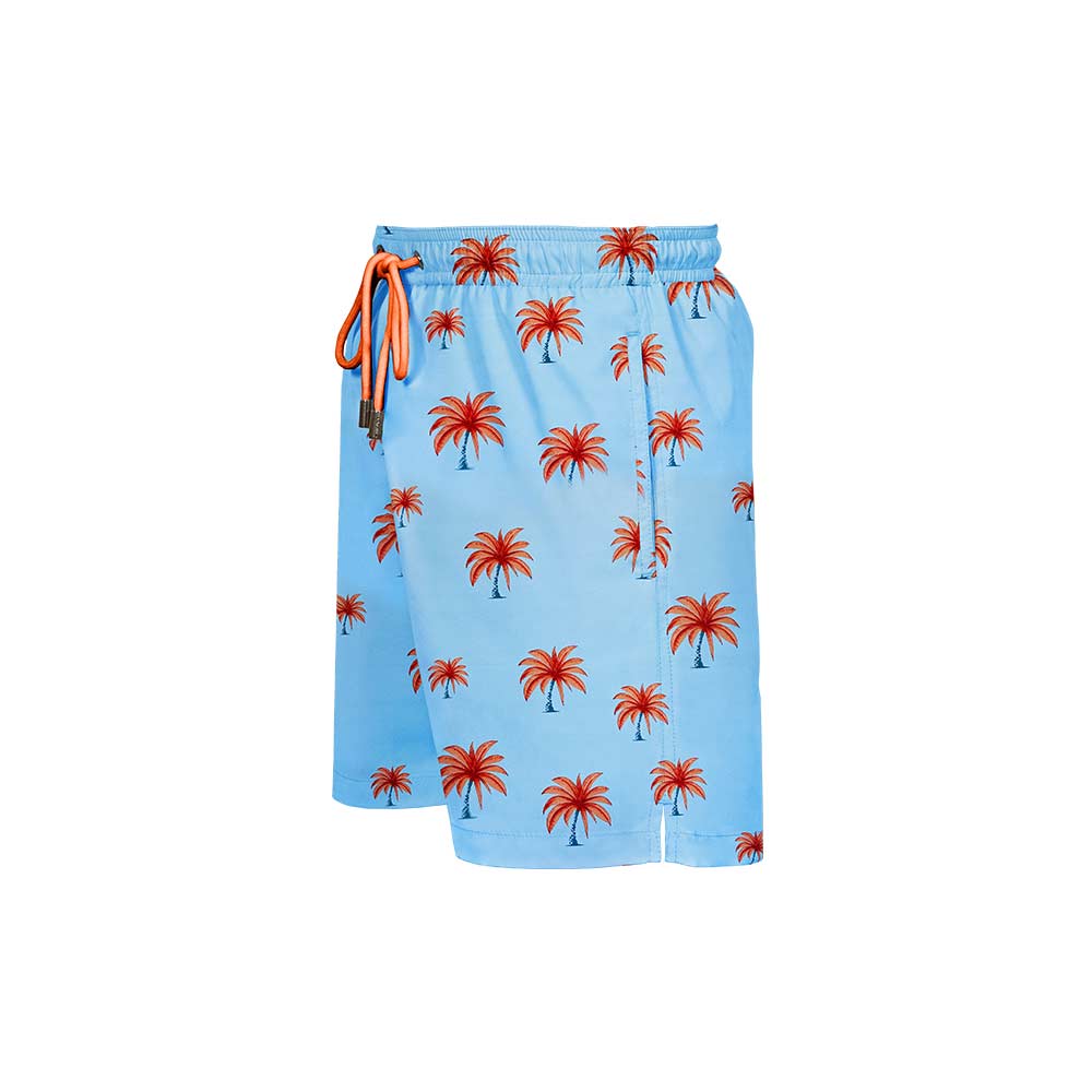 Palm Trees