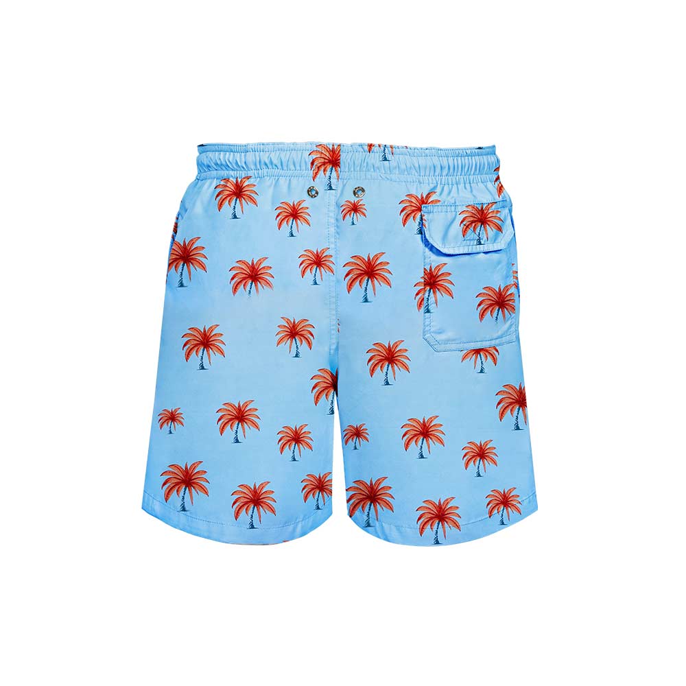 Palm Trees