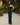 Midnight Muse Co-ord Set