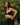 Tahiti Twist Co-ord Set