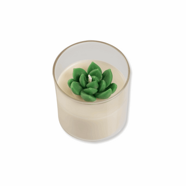 Candle with succulent design in a glass holder on a white background