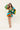 Carousel Dress