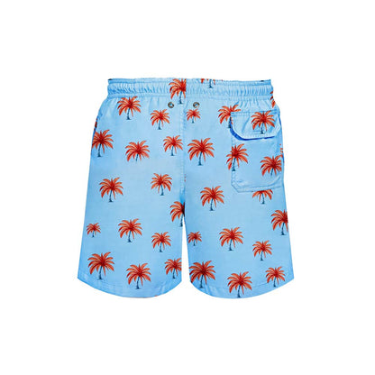 Palm Trees