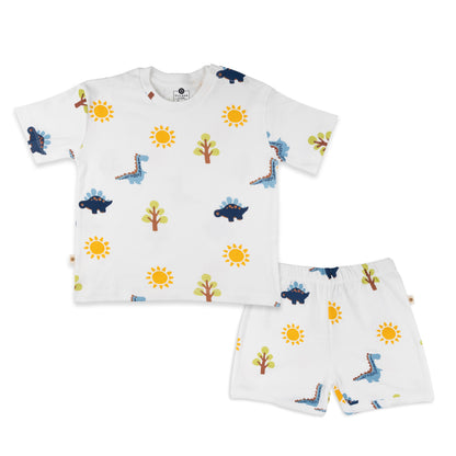 Organic Tee & Shorts Co-ord Set