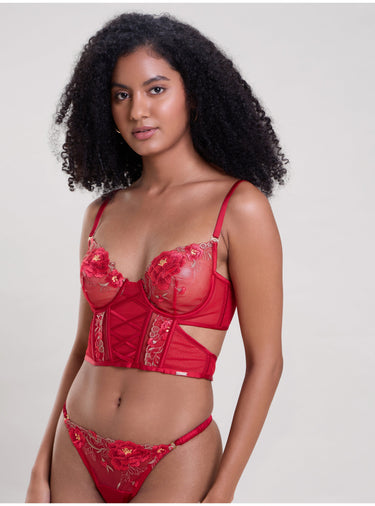 Rose Red Embroidered Longline Bra & Thong Set