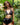 Tahiti Black Bikini Set