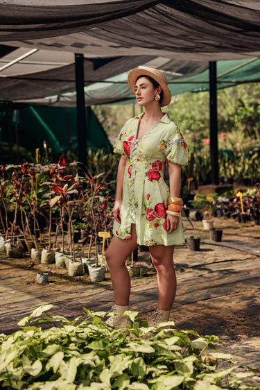 Isola Dress