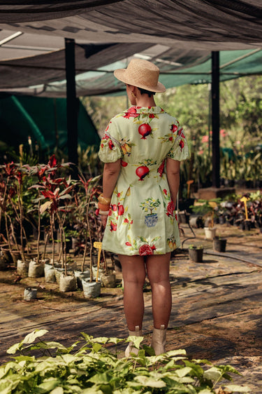 Isola Dress