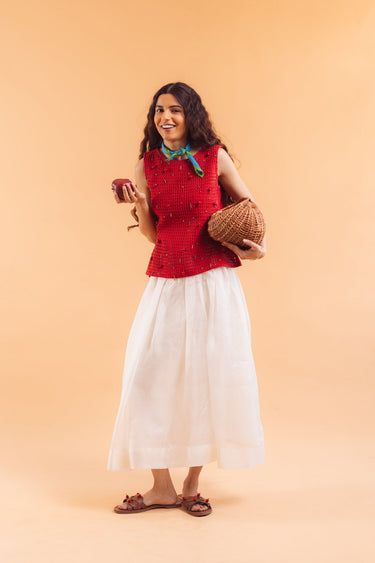 Snow Skirt
