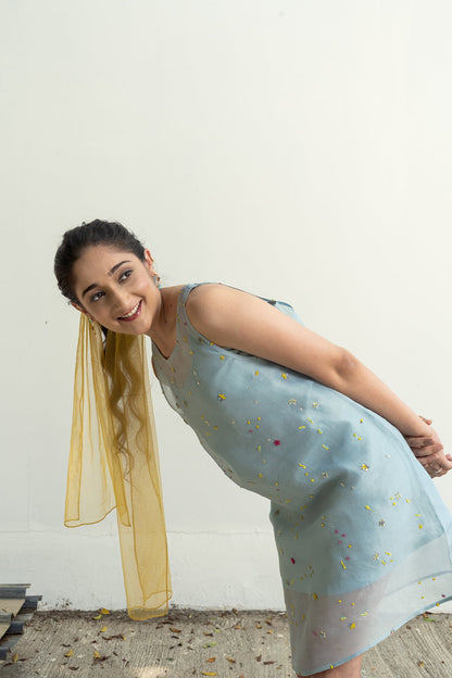 Oopsie Dress