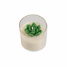 Candle with succulent design in a glass holder on a white background